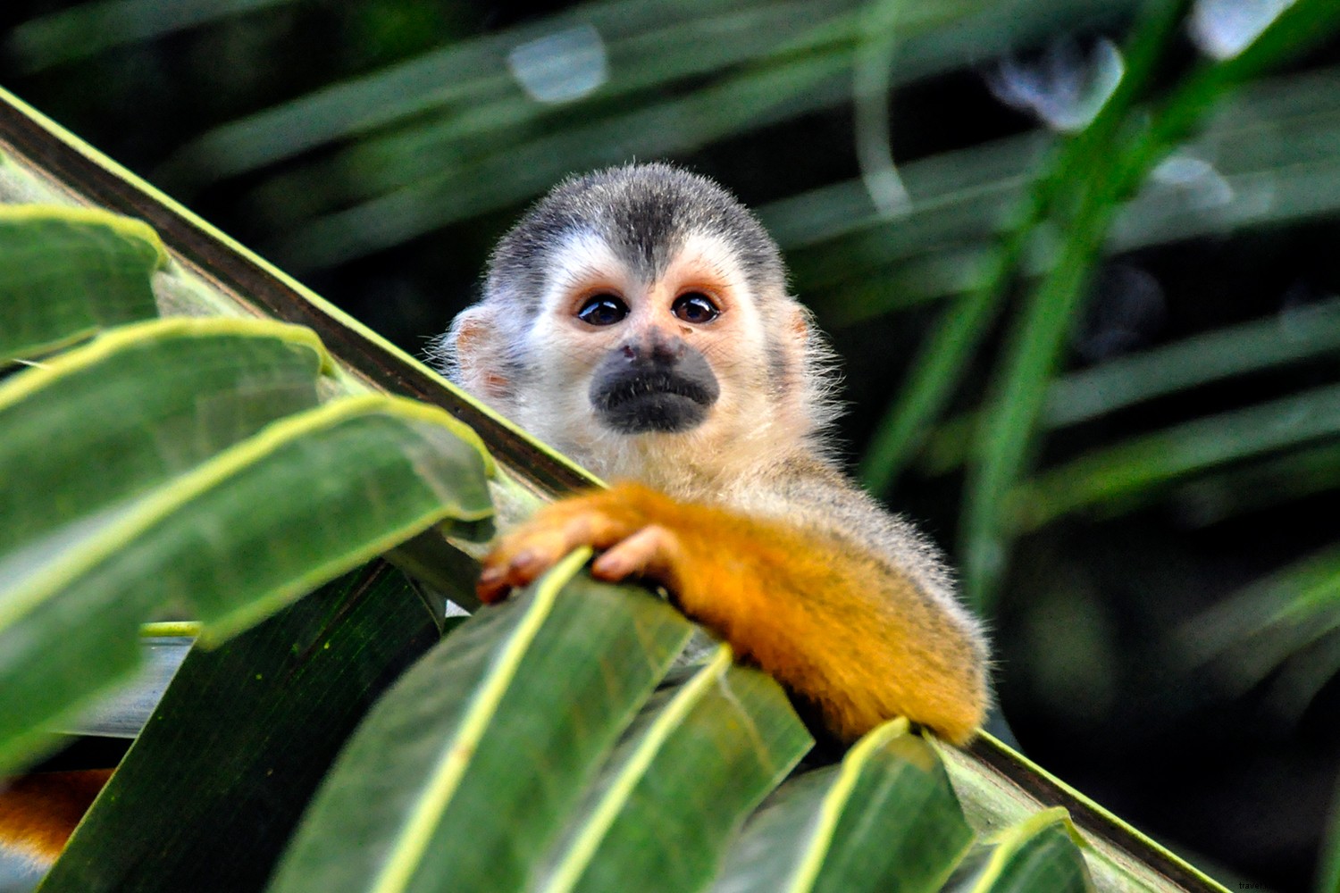 13 pontos imperdíveis na Costa Rica 